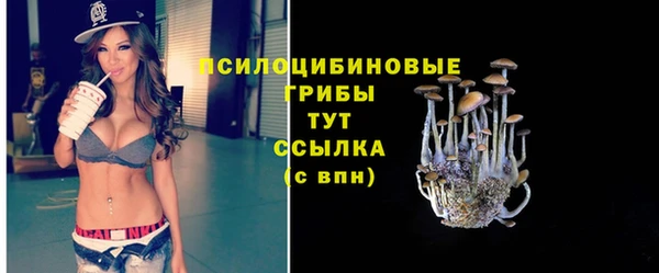 экстази Зеленокумск