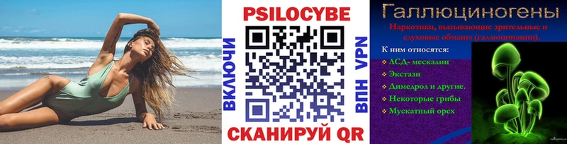 Галлюциногенные грибы Psilocybine cubensis  Купить где  Петров Вал 